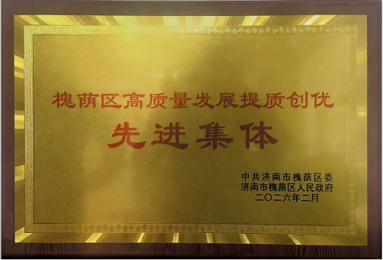 喜报！普利市政管网荣获“槐荫区高质量发展提质创优先进集体”