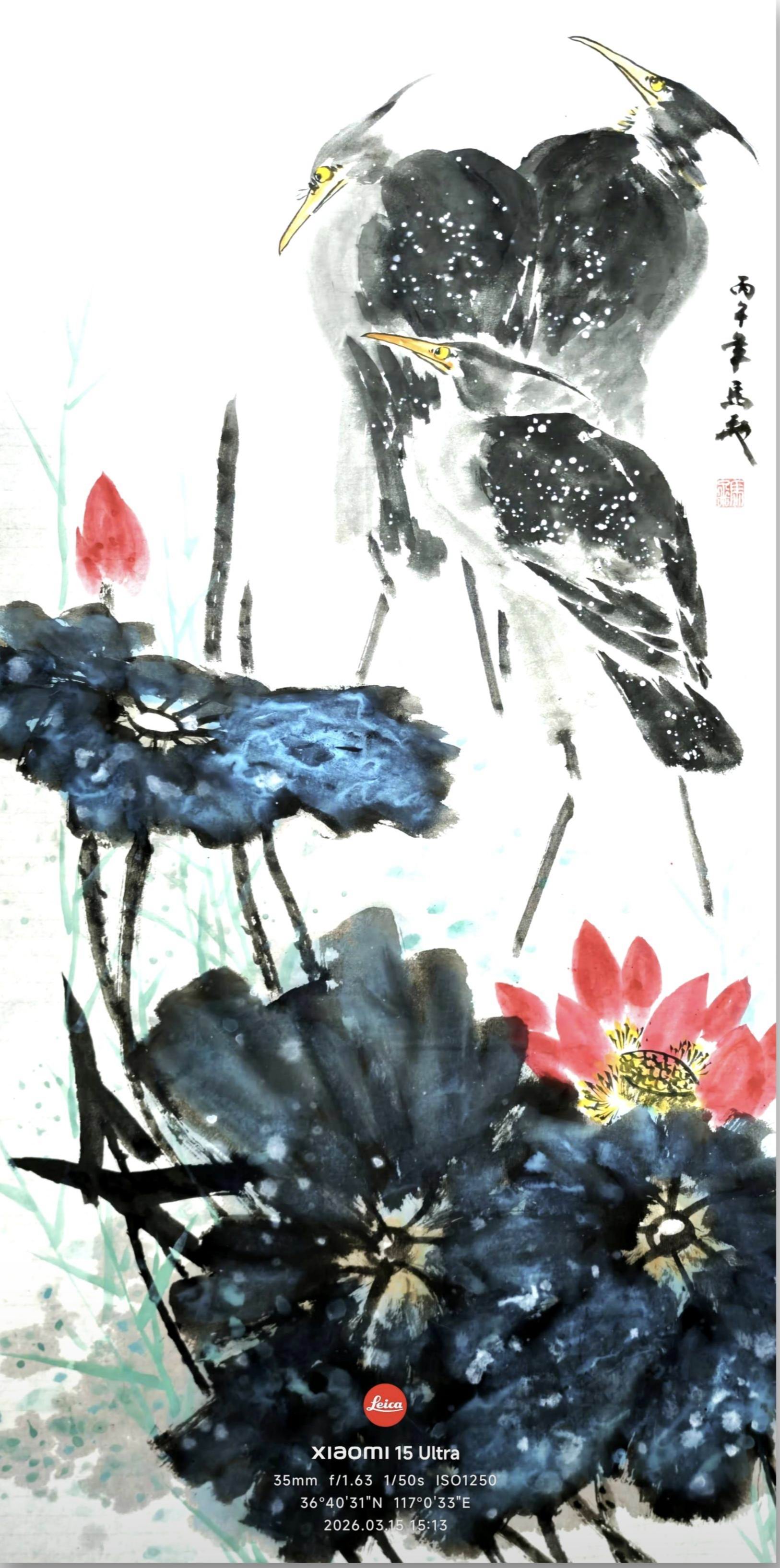 国画欣赏：《荷塘鹭鸶》