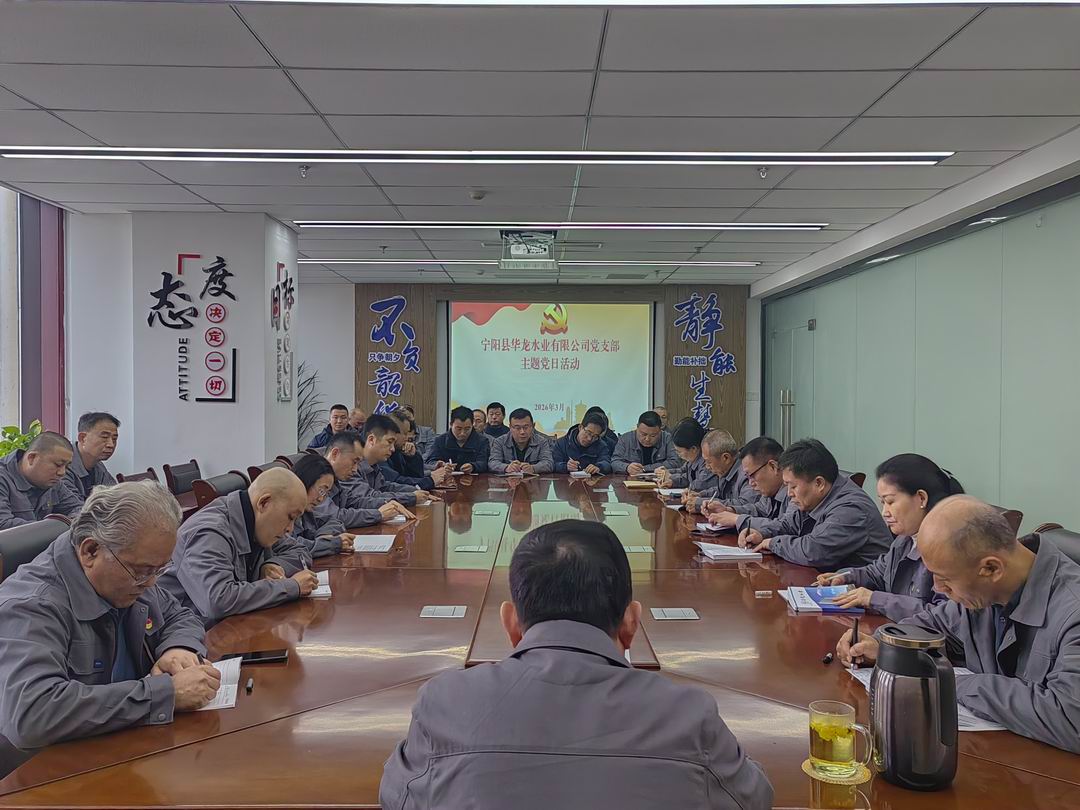 华龙水业：党支部召开3月份主题党日活动